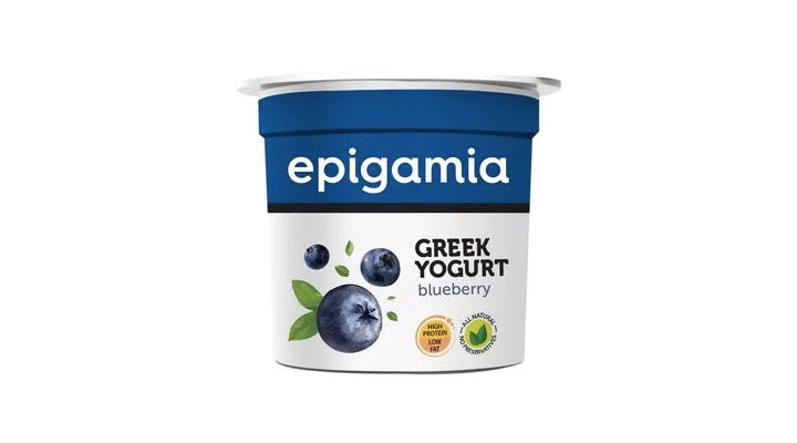 EPIGAMIA YOGURT BLUEBERRY 90G
