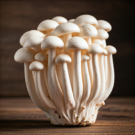 FRESH WHITE SHIMEJI MUSHROOM