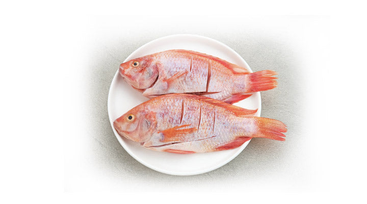 PISCES TILAPIA FISH 1KG