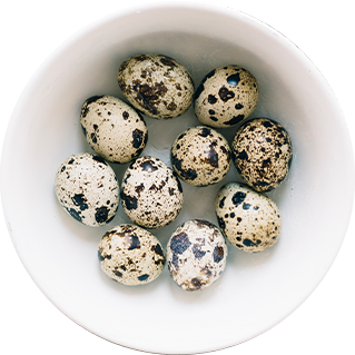 NUTRILITE QUAIL EGGS 12PCS