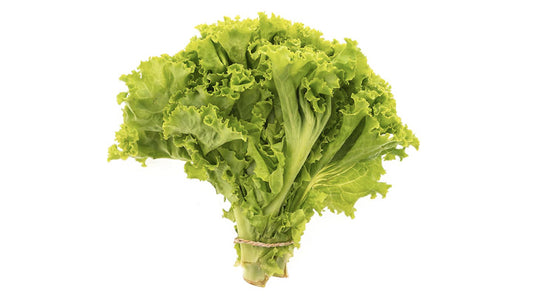 ICEBERG LETTUCE PER KG