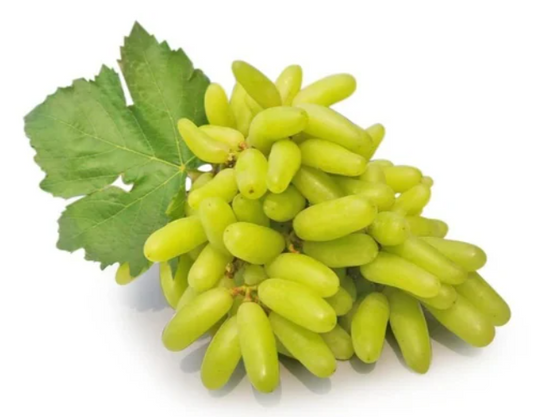 FRESH GRAPES IMPORTED