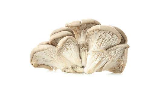 FRESH KING OYESTER MUSHROOM PER PACK