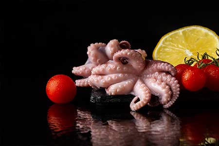 SMALL OCTOPUS