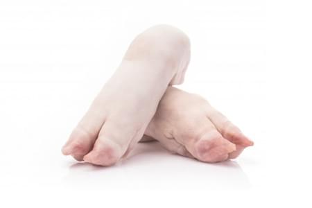 PORK FEET