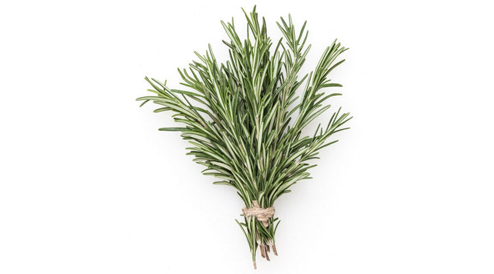 ROSEMARY PER PACK